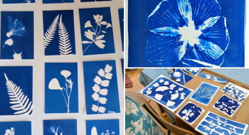 cyanotype