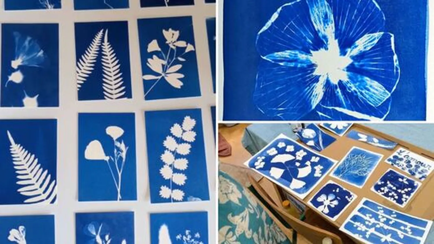 cyanotype