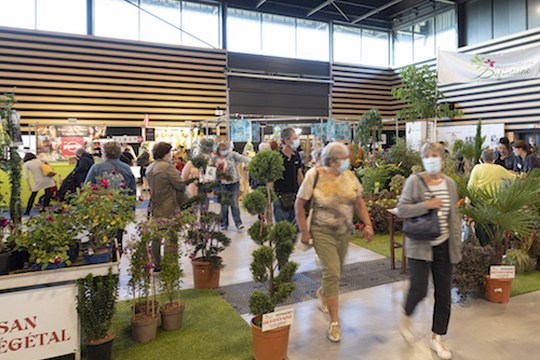 Photo jardin salon 584x396